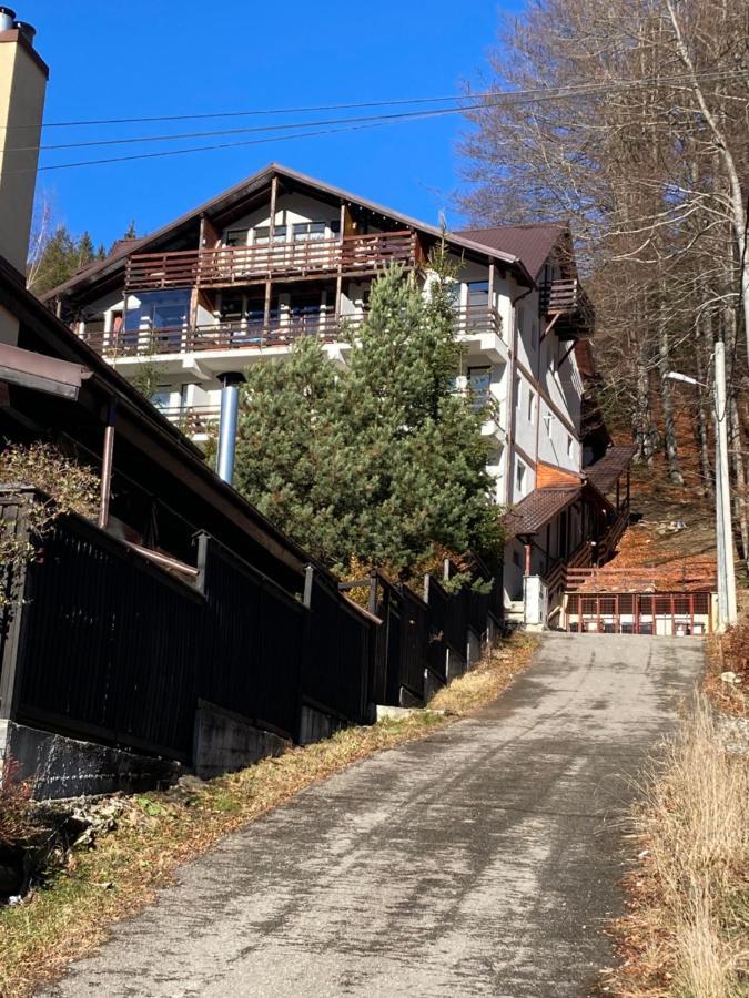 Ski View Studio - Near The Ski Slopes Азуга Экстерьер фото